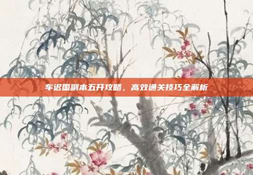车迟国副本五开攻略,高效通关技巧全解析