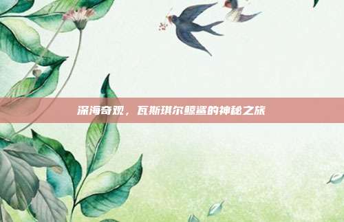 深海奇观,瓦斯琪尔鲸鲨的神秘之旅
