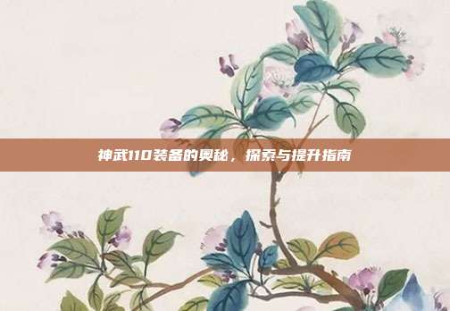 神武110装备的奥秘,探索与提升指南