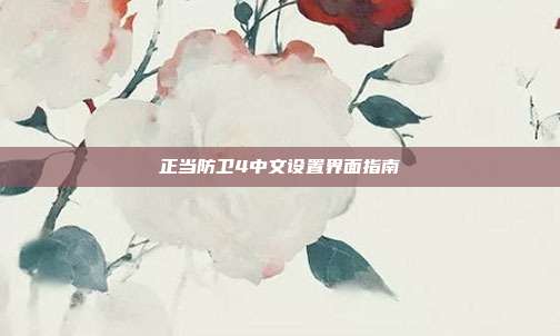 正当防卫4中文设置界面指南