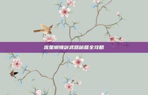 流星蝴蝶剑武器秘籍全攻略