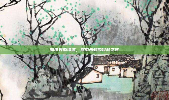 新世界的海盗,探索未知的冒险之旅
