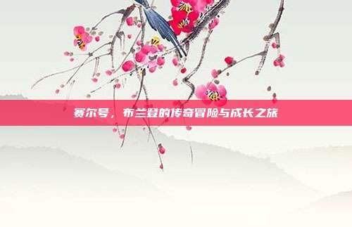 赛尔号,布兰登的传奇冒险与成长之旅