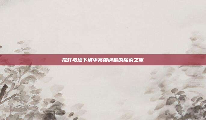 提灯与地下城中亮度调整的探索之旅