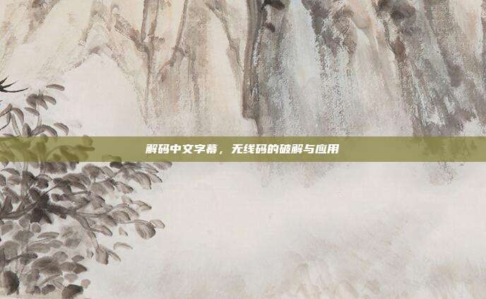 解码中文字幕,无线码的破解与应用
