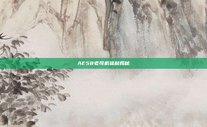 AE58老司机福利揭秘