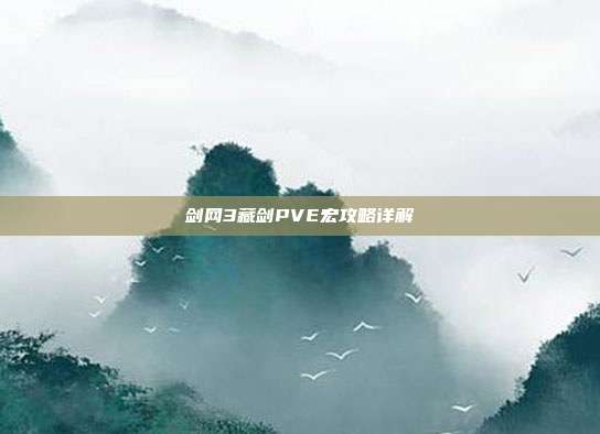 剑网3藏剑PVE宏攻略详解