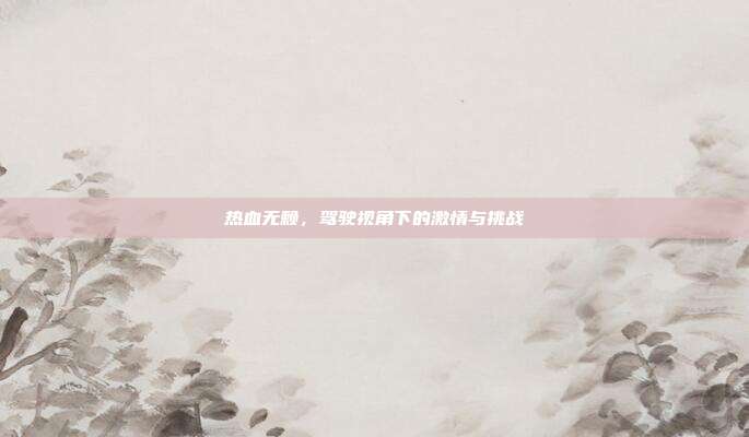 热血无赖,驾驶视角下的激情与挑战