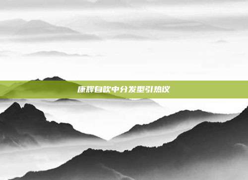 康辉自吹中分发型引热议