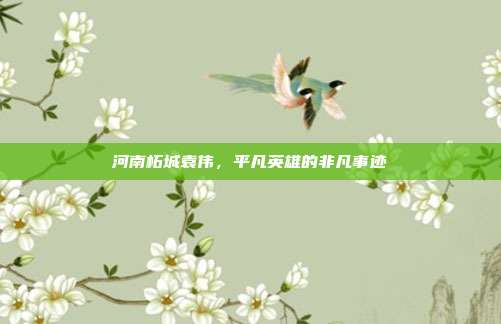 河南柘城袁伟,平凡英雄的非凡事迹