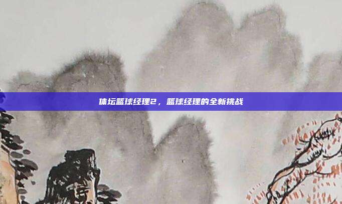 体坛篮球经理2,篮球经理的全新挑战