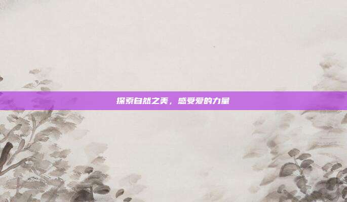 探索自然之美,感受爱的力量