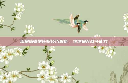流星蝴蝶剑连招技巧解析,快速提升战斗能力