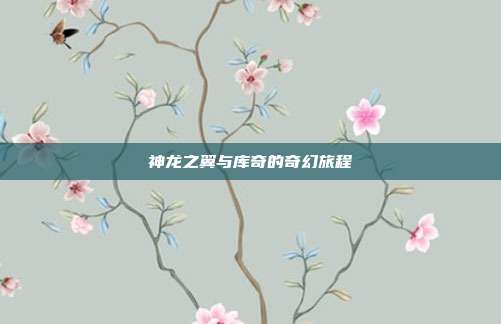 神龙之翼与库奇的奇幻旅程
