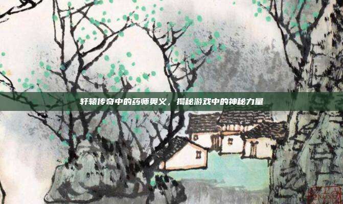 轩辕传奇中的药师奥义,揭秘游戏中的神秘力量