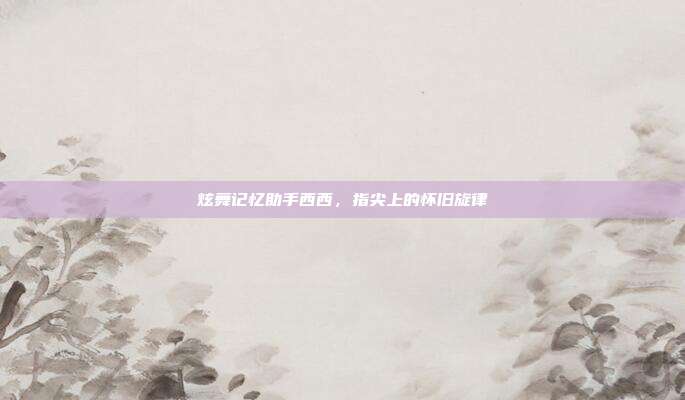 炫舞记忆助手西西,指尖上的怀旧旋律