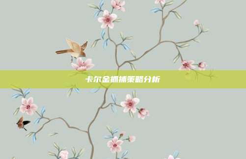 卡尔金抓捕策略分析