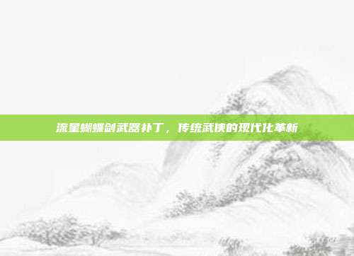 流星蝴蝶剑武器补丁,传统武侠的现代化革新