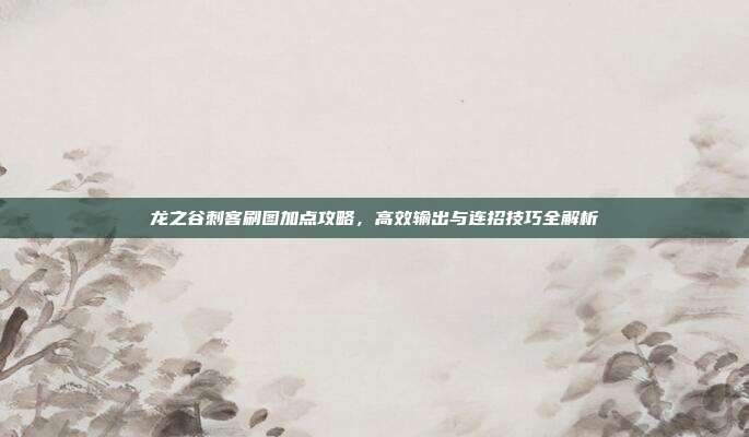 龙之谷刺客刷图加点攻略,高效输出与连招技巧全解析