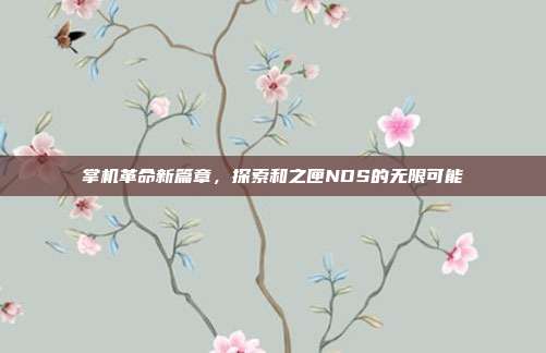 掌机革命新篇章,探索和之匣NDS的无限可能