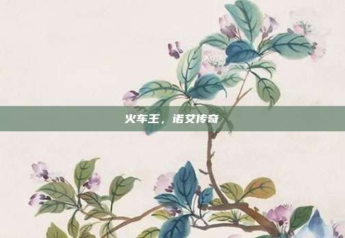 火车王,诺艾传奇