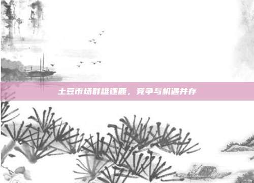土豆市场群雄逐鹿,竞争与机遇并存
