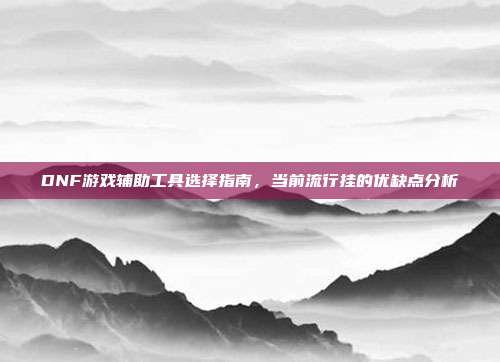 DNF游戏辅助工具选择指南,当前流行挂的优缺点分析