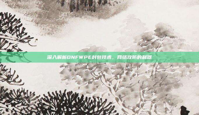 深入解析DNFWPE封包技术,网络攻防的利器