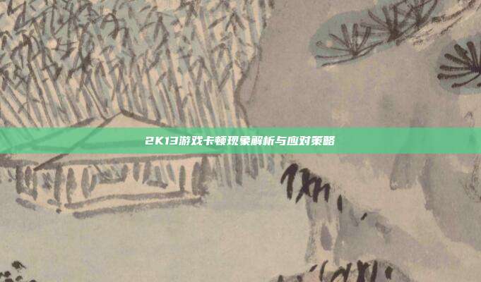 2K13游戏卡顿现象解析与应对策略