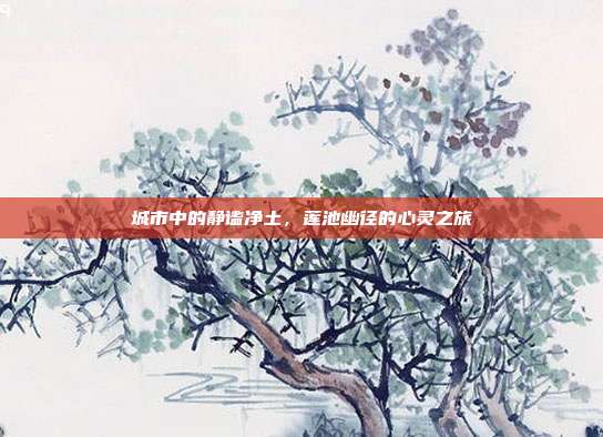 城市中的静谧净土,莲池幽径的心灵之旅