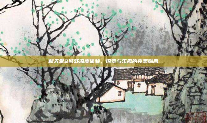 新天堂2游戏深度体验,探索与乐趣的完美融合