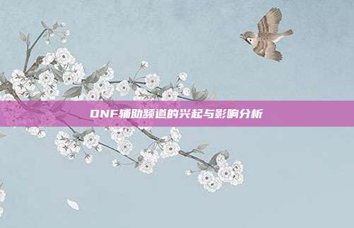 DNF辅助频道的兴起与影响分析
