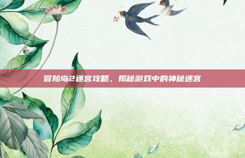 冒险岛2迷宫攻略,揭秘游戏中的神秘迷宫