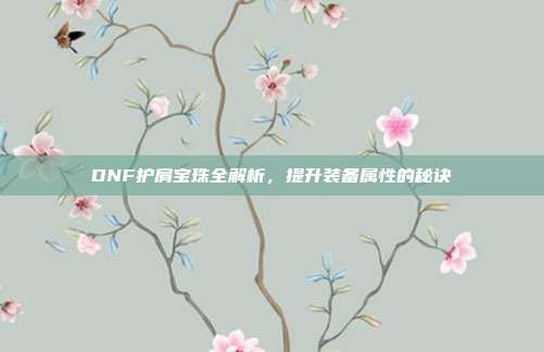 DNF护肩宝珠全解析,提升装备属性的秘诀