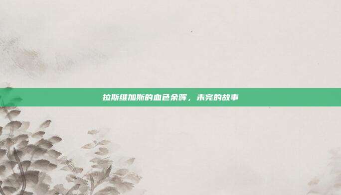拉斯维加斯的血色余晖,未完的故事