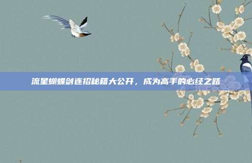 流星蝴蝶剑连招秘籍大公开,成为高手的必经之路