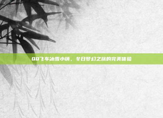 QQ飞车冰雪小镇,冬日梦幻之旅的完美体验