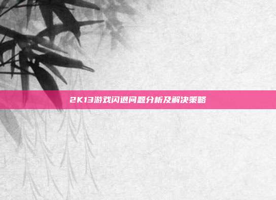 2K13游戏闪退问题分析及解决策略