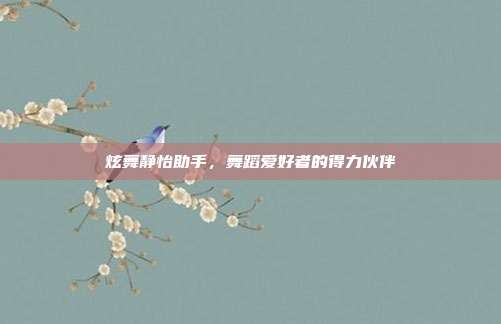 炫舞静怡助手,舞蹈爱好者的得力伙伴