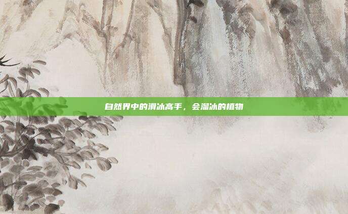 自然界中的滑冰高手,会溜冰的植物