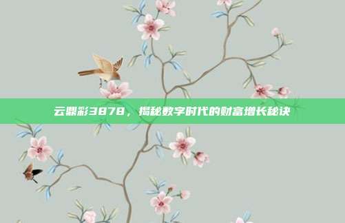 云鼎彩3878,揭秘数字时代的财富增长秘诀