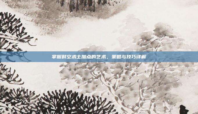 掌握时空术士加点的艺术,策略与技巧详解