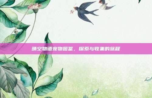 晴空物语宠物图鉴,探索与收集的旅程