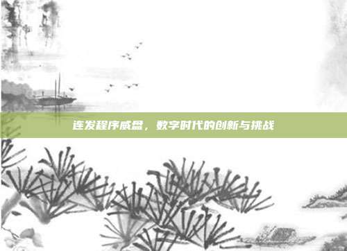 连发程序威盘,数字时代的创新与挑战
