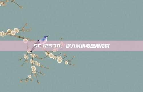 SC.12530,深入解析与应用指南