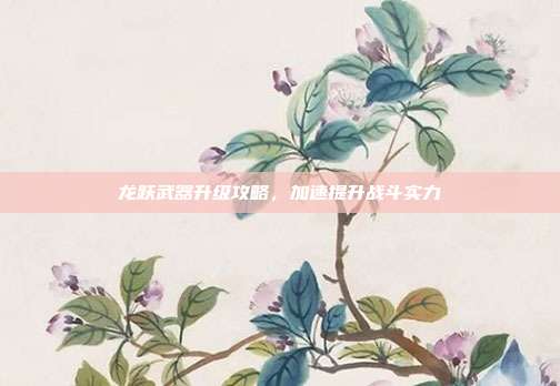 龙跃武器升级攻略,加速提升战斗实力