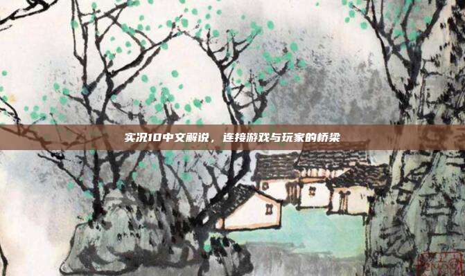 实况10中文解说,连接游戏与玩家的桥梁