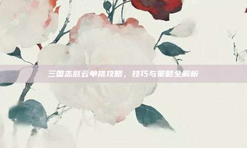 三国志赵云单挑攻略,技巧与策略全解析