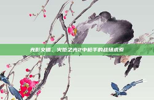 光影交错,火炬之光2中枪手的战场求索