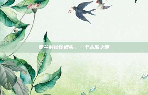 奥兰的神秘遗失,一个未解之谜
